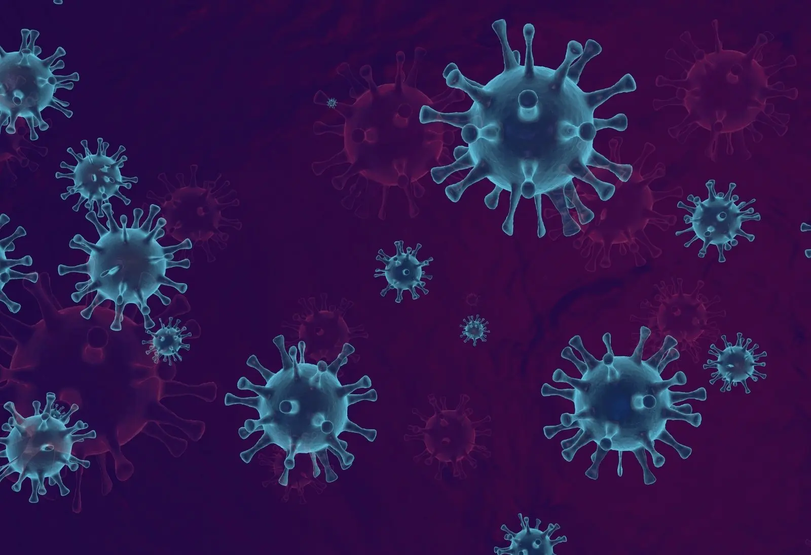 Şarbon Hastalığı Nedir? Belirtileri, Bulaşma Yolları ve Korunma Yöntemleri