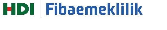Fibaemeklilik
